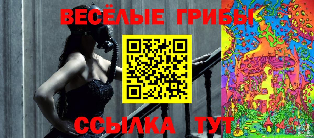 Россия  Галлюциногенные грибы мухоморы  Вход с VPN 