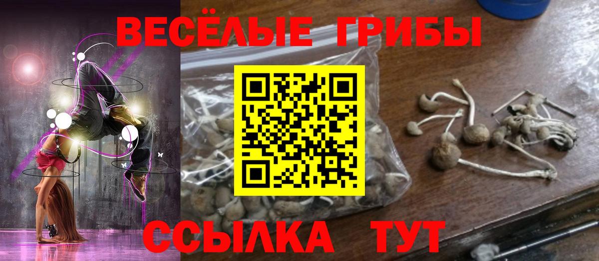 Псилоцибиновые грибы MAGIC MUSHROOMS Россия